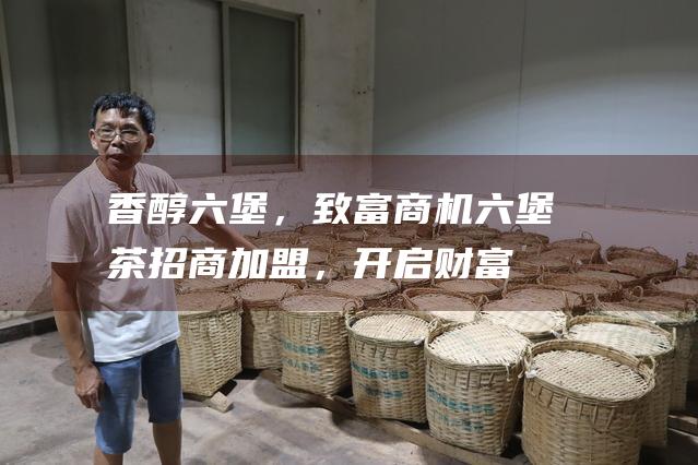 香醇六堡，致富商机：六堡茶招商加盟，开启财富新征程