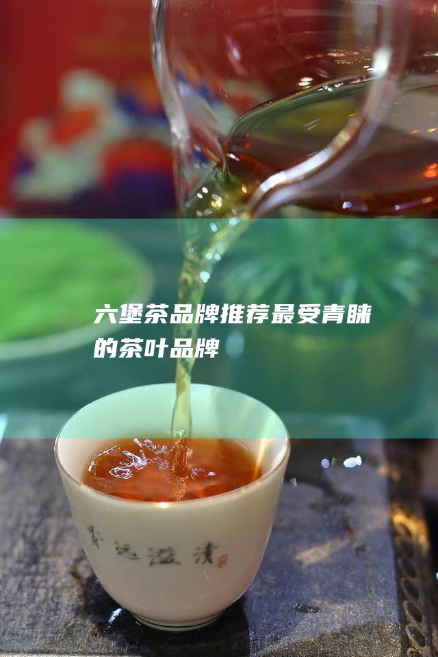 六堡茶品牌推荐：最受青睐的茶叶品牌