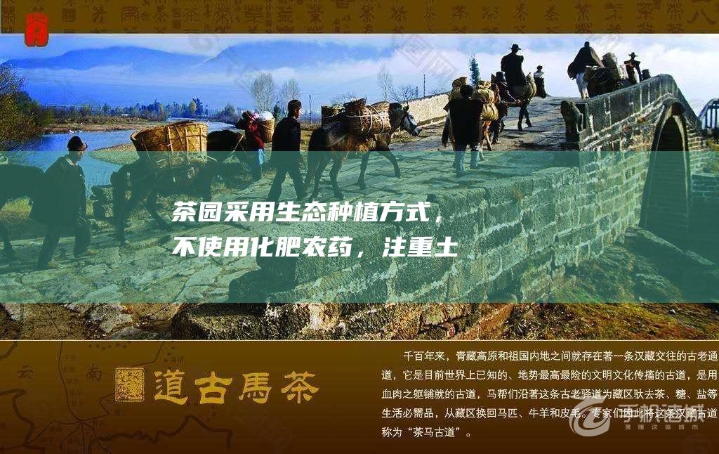 茶园采用生态种植方式，不使用化肥农药，注重土壤改良和病虫害防治。