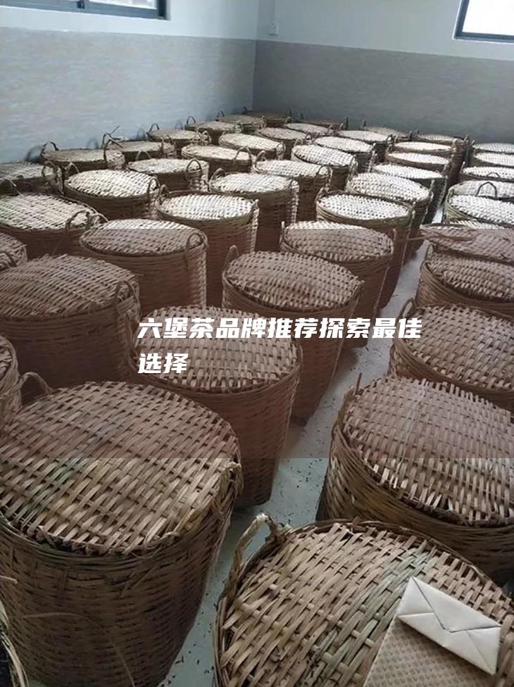 六堡茶品牌推荐：探索最佳选择