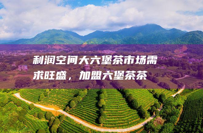 利润空间大：六堡茶市场需求旺盛，加盟六堡茶茶馆或经销商，利润空间可观。