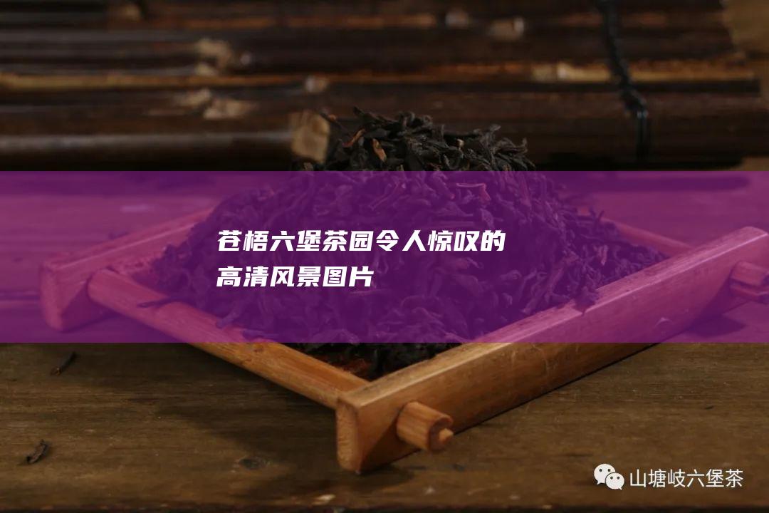 苍梧六堡茶园：令人惊叹的高清风景图片