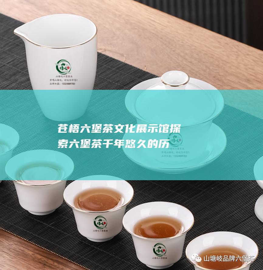 苍梧六堡茶展示馆探索六堡茶千年悠久的历