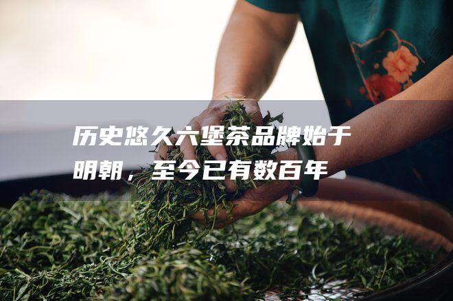 历史悠久：六堡茶品牌始于明朝，至今已有数百年的历史。