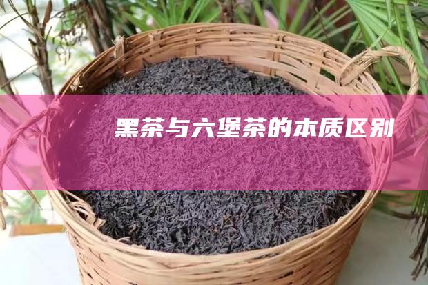 黑茶与六堡茶的本质区别：