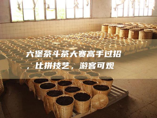 六堡茶斗茶大赛：高手过招，比拼技艺，游客可观摩斗茶过程，欣赏六堡茶的冲泡技艺。