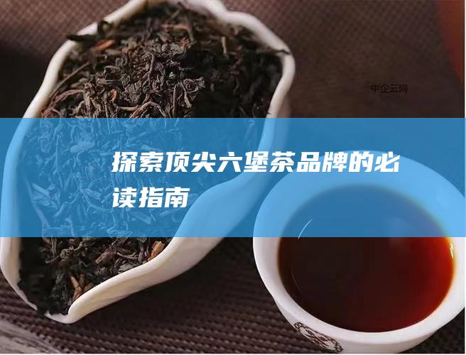 探索顶尖六堡茶品牌的必读指南