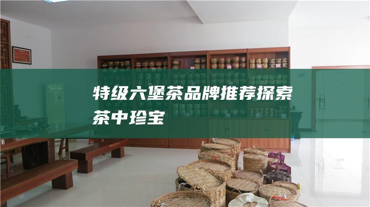 特级六堡茶品牌推荐：探索茶中珍宝