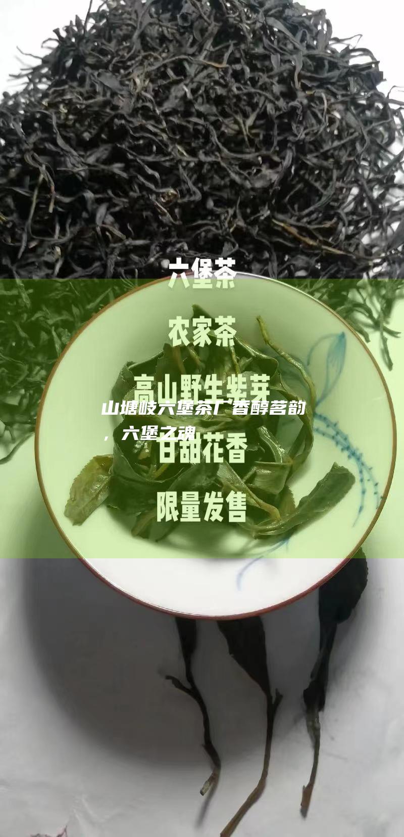 山塘岐六堡茶厂：香醇茗韵，六堡之魂