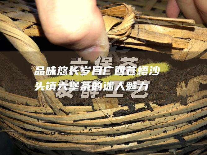 品味悠长岁月广西苍梧沙头镇茶的迷人魅力