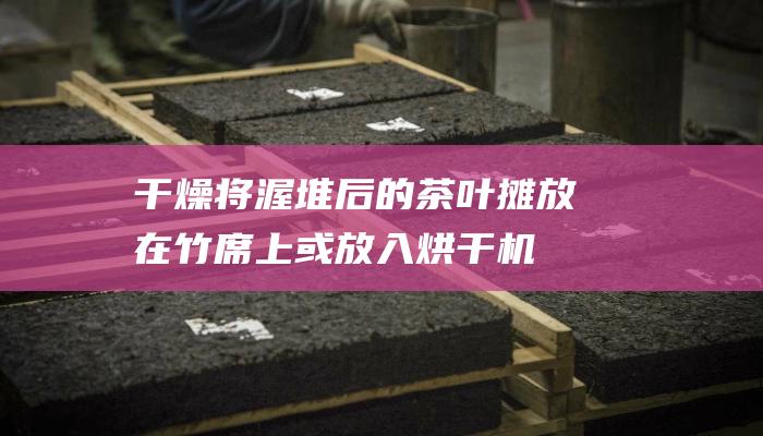 将后的茶叶摊放在竹席上或放入烘干机