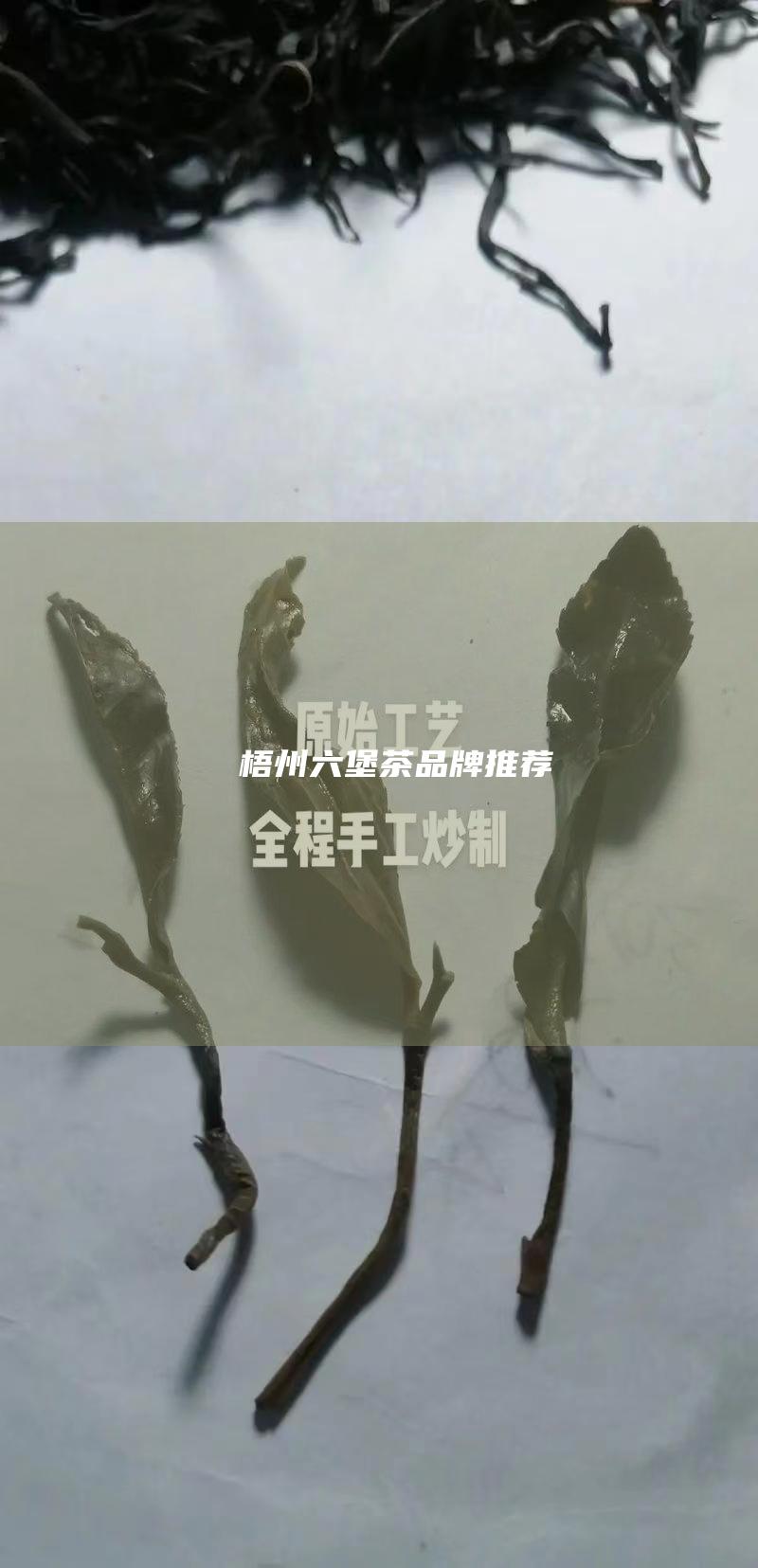 梧州六堡茶品牌推荐