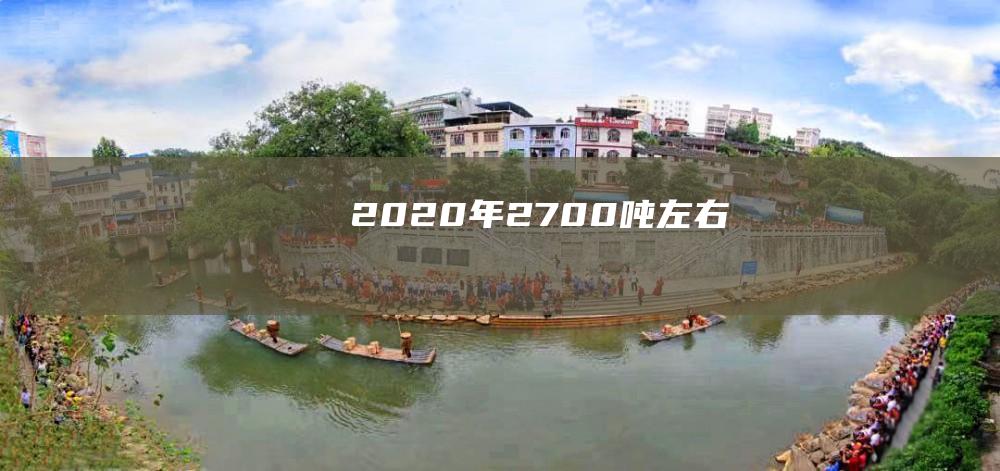 2020年：2700吨左右