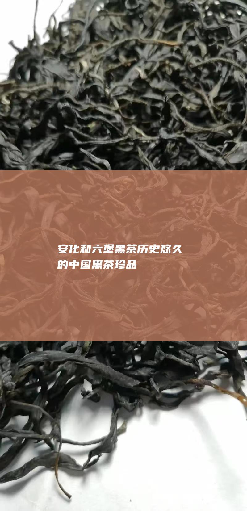 安化和六堡黑茶：历史悠久的中国黑茶珍品