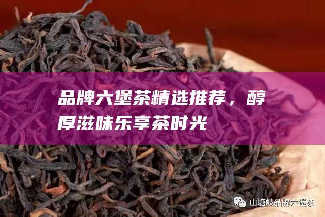 品牌六堡茶精选推荐，醇厚滋味乐享茶时光