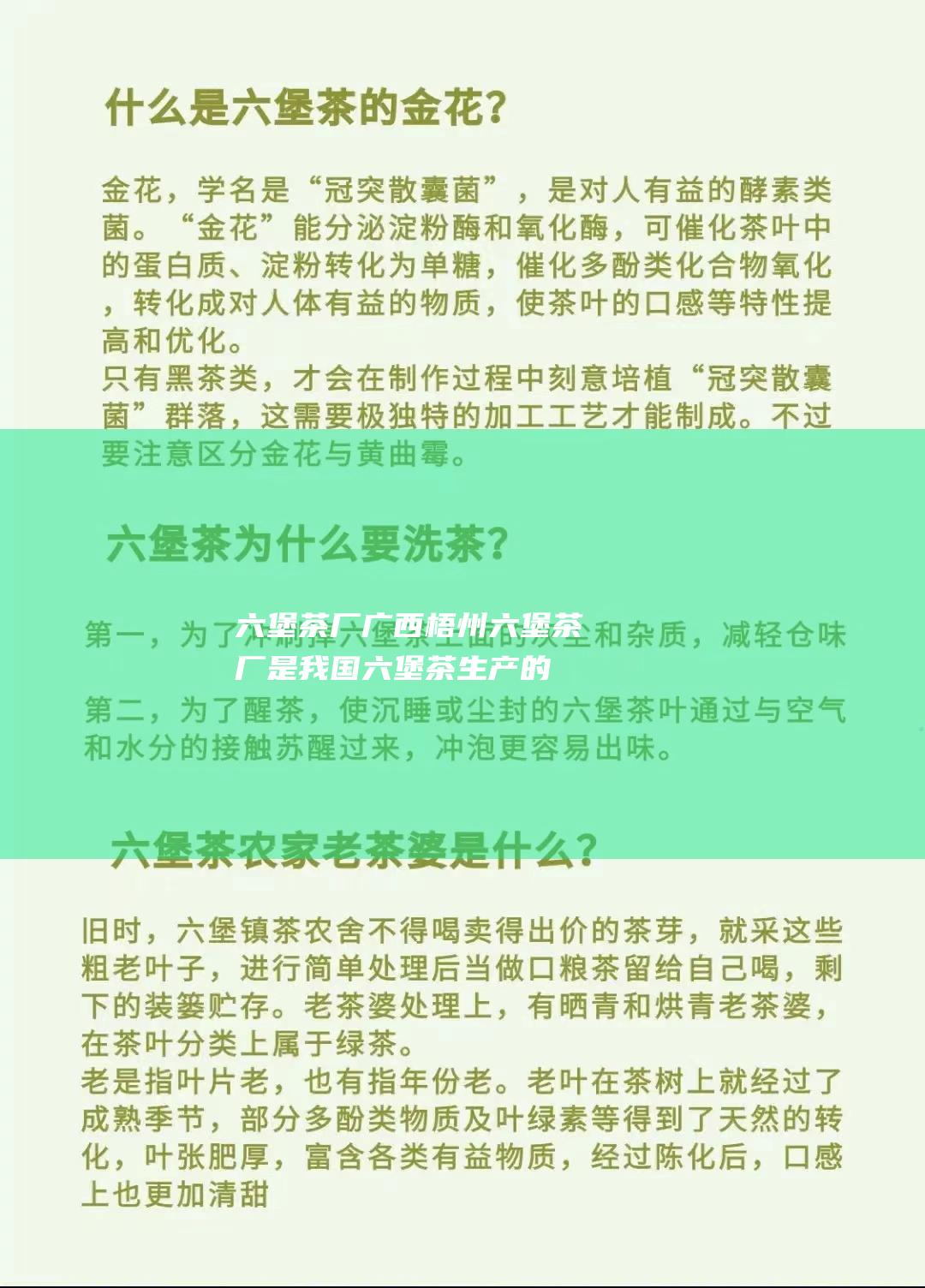 六堡茶厂：广西梧州六堡茶厂是我国六堡茶生产的龙头企业，拥有悠久的历史和丰富的生产经验。