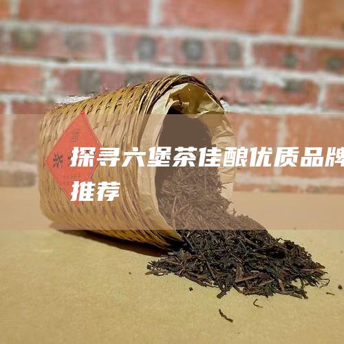 探寻六堡茶佳酿优质品牌推荐