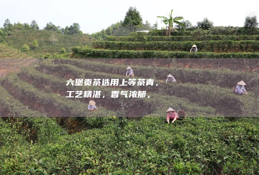 六堡贡茶：选用上等茶青，工艺精湛，香气浓郁，滋味甘醇。