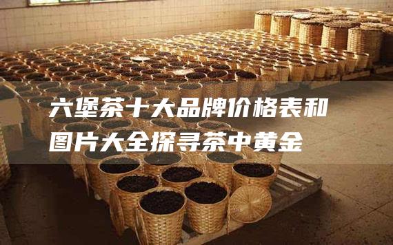 六堡茶十大品牌价格表和图片大全：探寻茶中黄金的奥秘