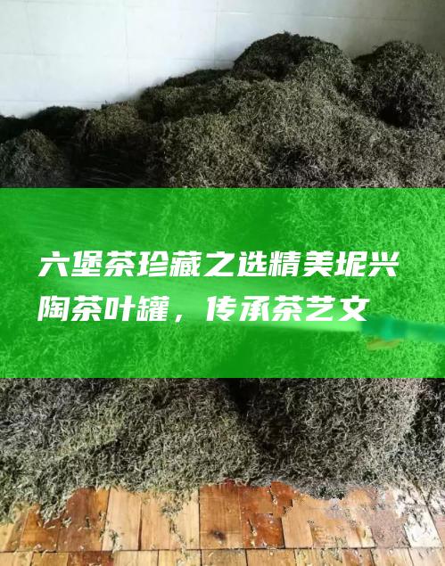 六堡茶珍藏之选：精美坭兴陶茶叶罐，传承茶艺文化