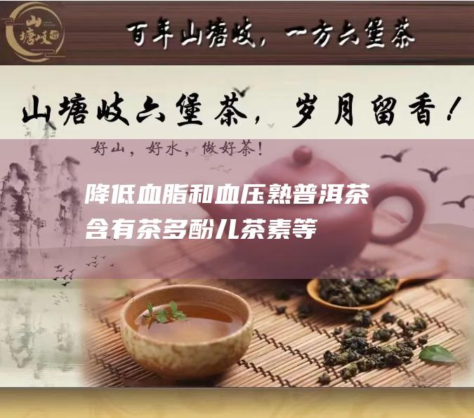 和血压熟茶含有茶多酚儿茶素等