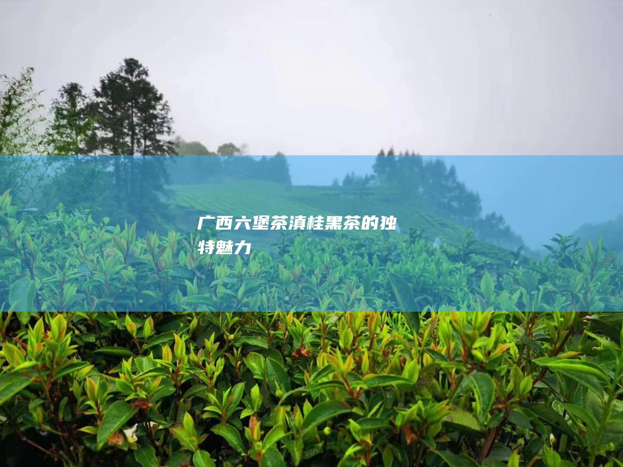 广西六堡茶：滇桂黑茶的独特魅力