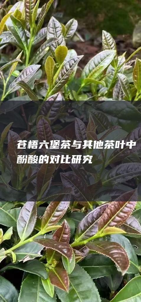 苍梧六堡茶与其他茶叶中酚酸的对比研究