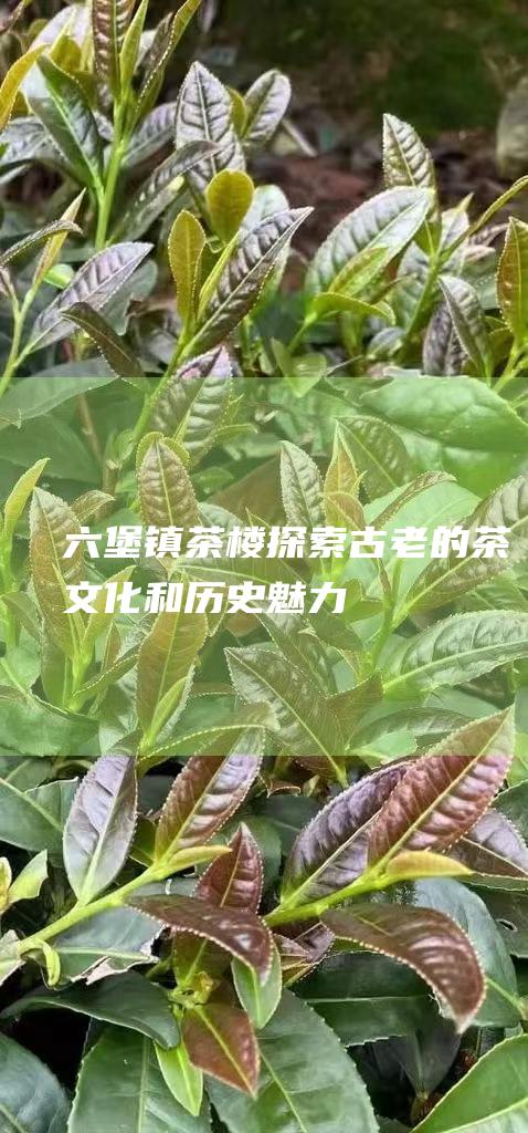 六堡镇茶楼：探索古老的茶文化和历史魅力