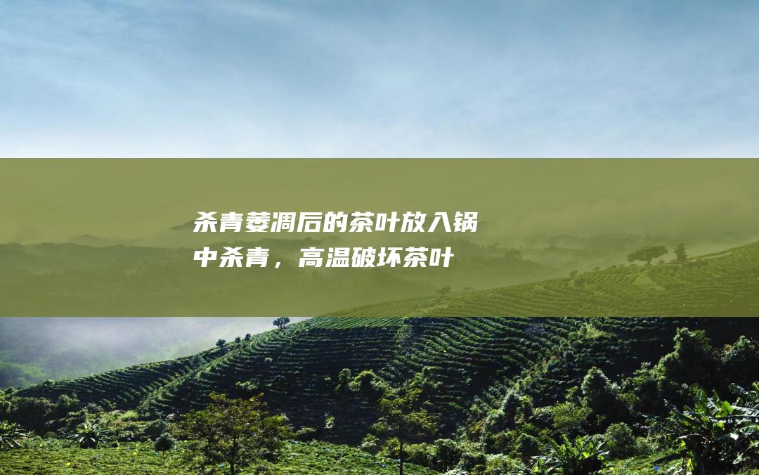 杀青后的茶叶杀青，高温破坏茶叶