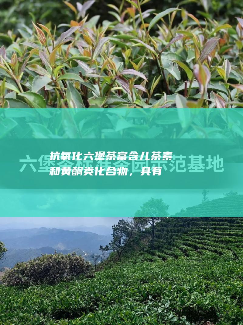 抗氧化:六堡茶富含儿茶素和黄酮类化合物，具有很强的抗氧化能力，可以清除自由基，起到延缓衰老的作用。