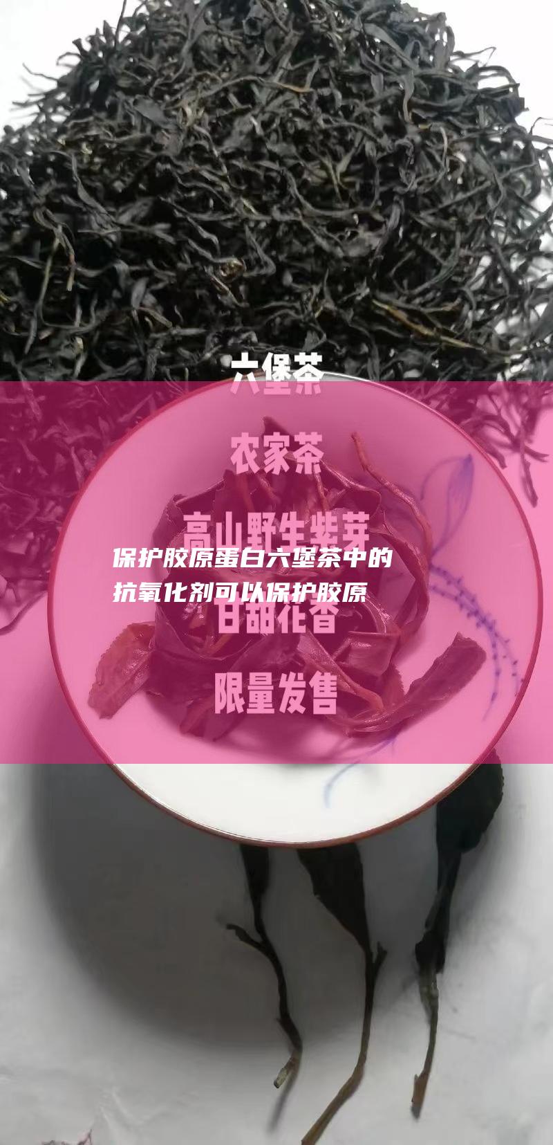 保护胶原蛋白：六堡茶中的抗氧化剂可以保护胶原蛋白，胶原蛋白是一种支持皮肤结构和弹性的蛋白质。随着年龄的增长，胶原蛋白的产生减少，这会导致皮肤松弛和皱纹。