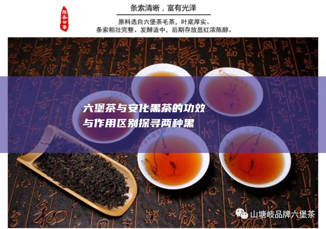 与安化黑茶的与作用区别探寻两种黑