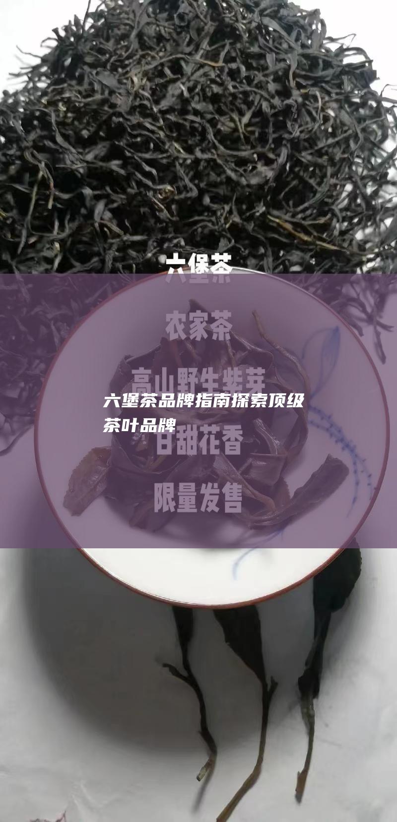 六堡茶品牌指南：探索顶级茶叶品牌