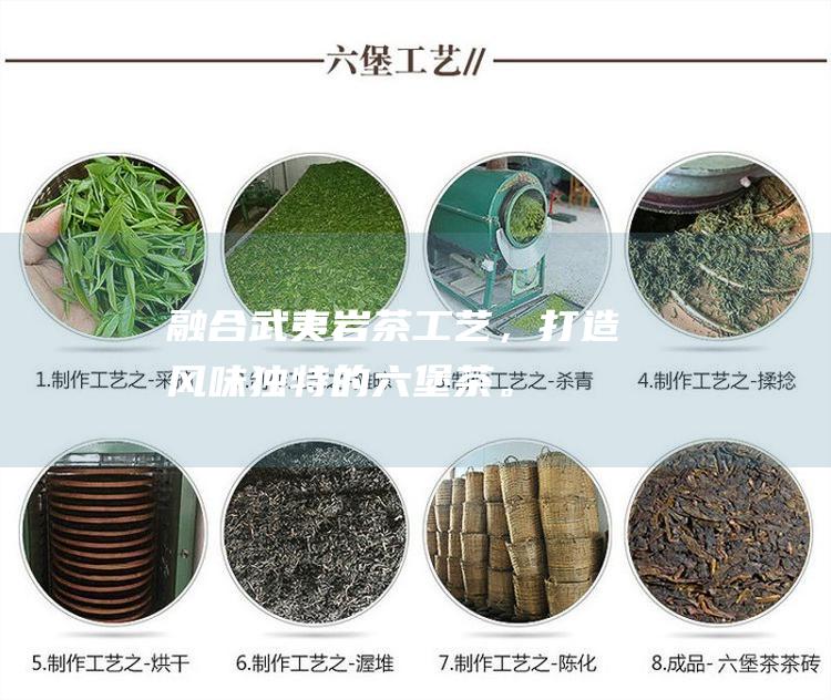 融合武夷岩茶工艺，打造风味独特的六堡茶。