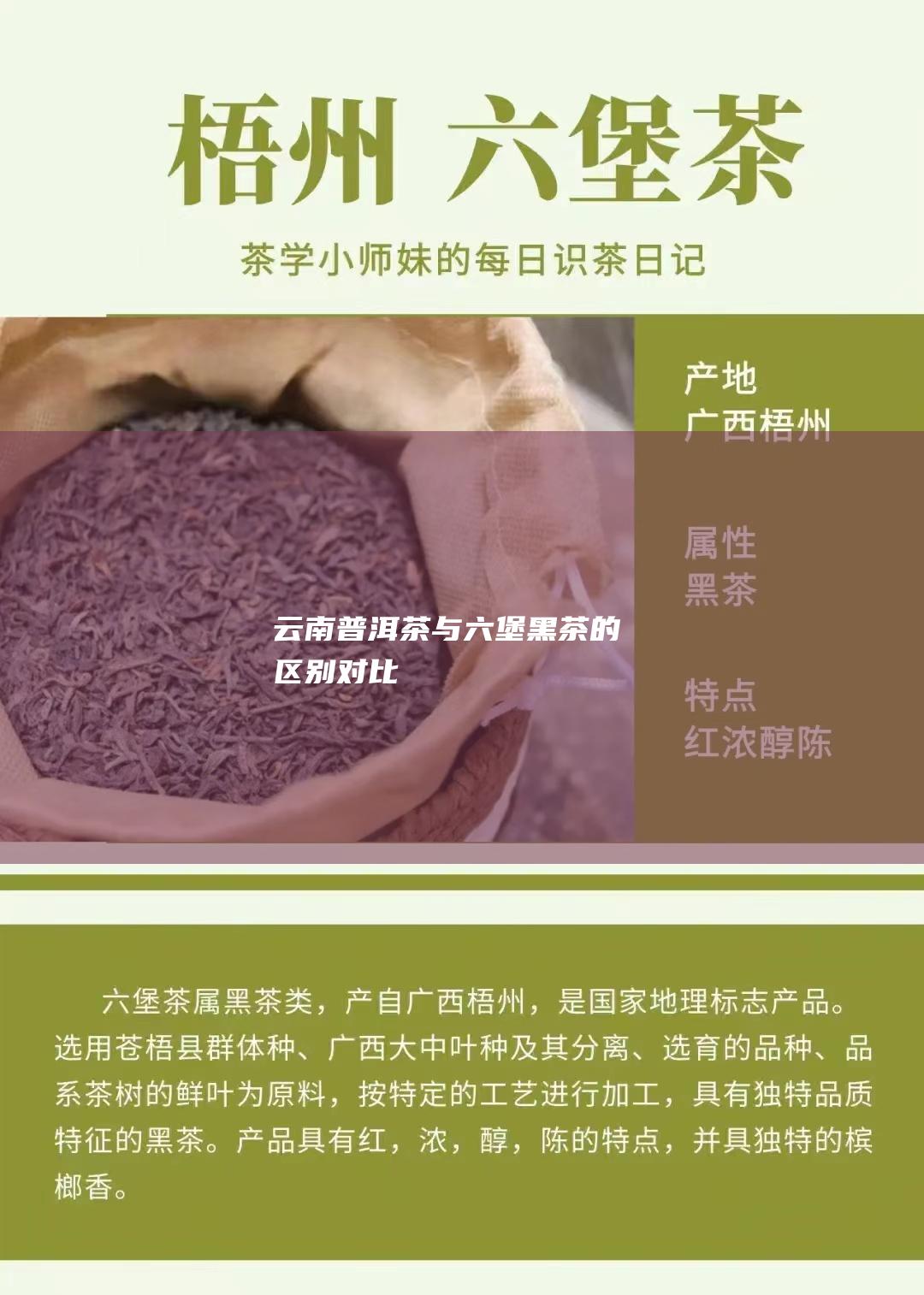 云南普洱茶与六堡黑茶的区别对比