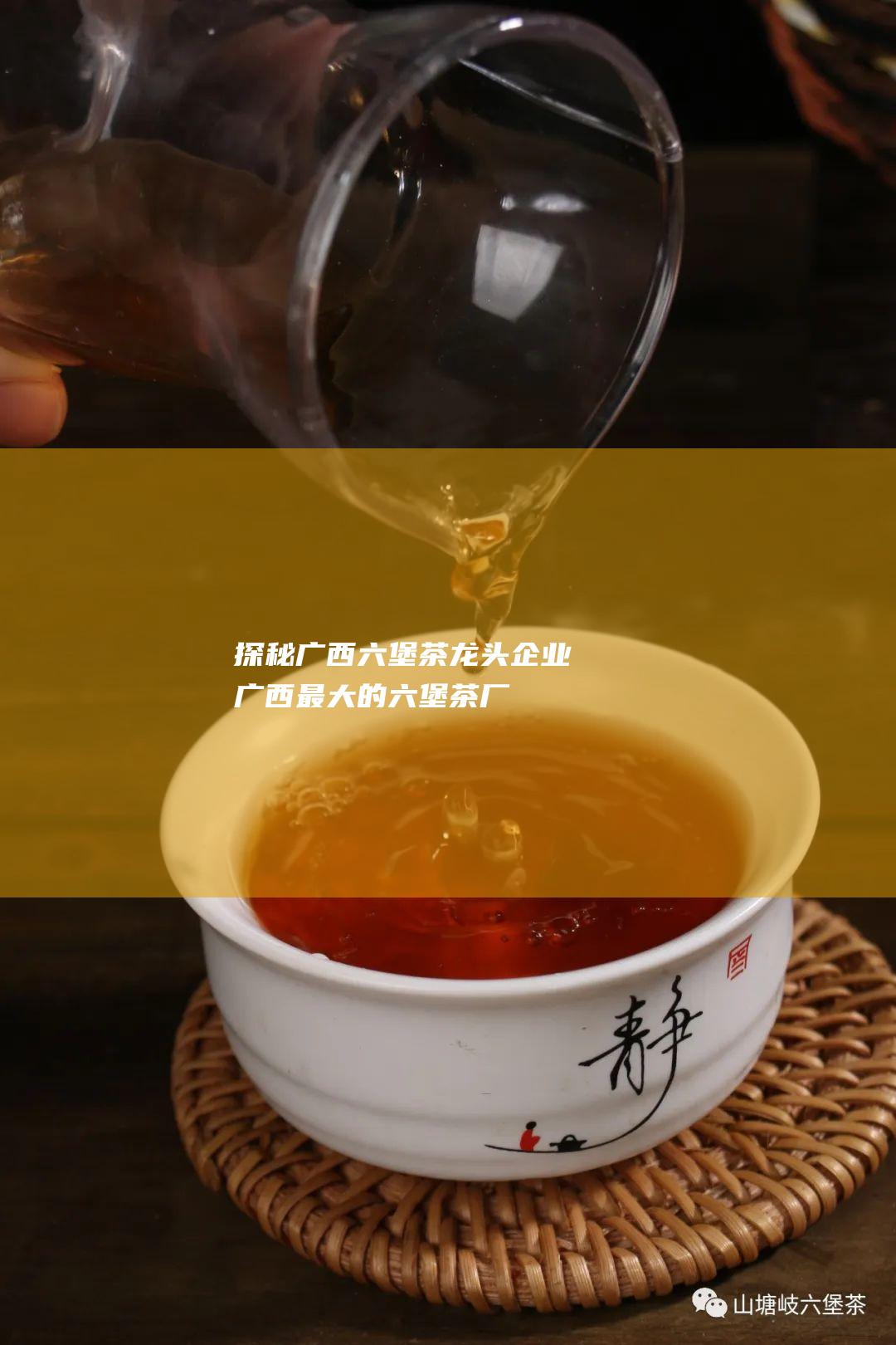 探秘广西六堡茶龙头企业：广西最大的六堡茶厂