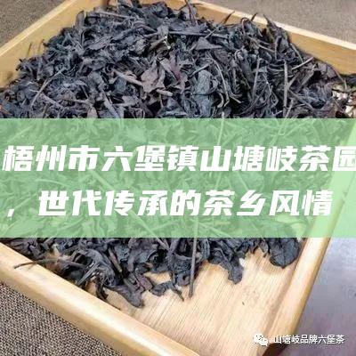 梧州市六堡镇山塘岐茶园，世代传承的茶乡风情