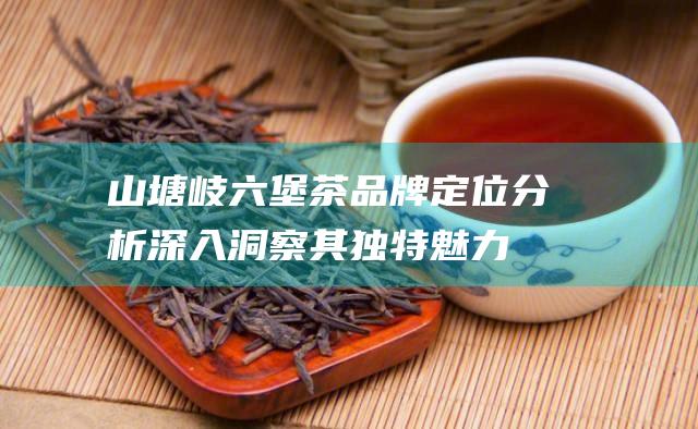 山塘岐六堡茶品牌定位分析：深入洞察其独特魅力与市场潜力