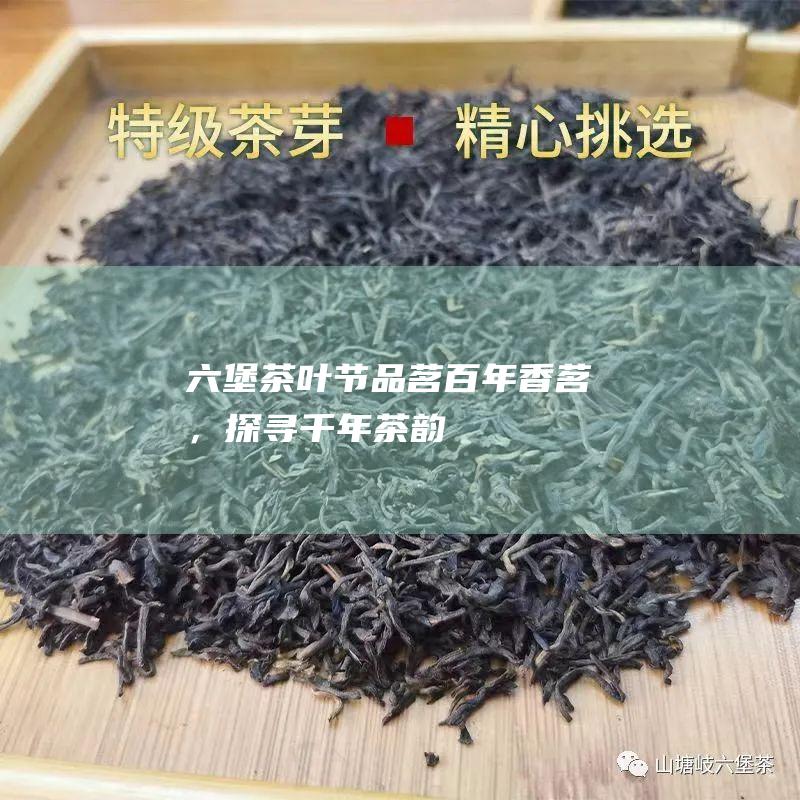 六堡茶叶节：品茗百年香茗，探寻千年茶韵