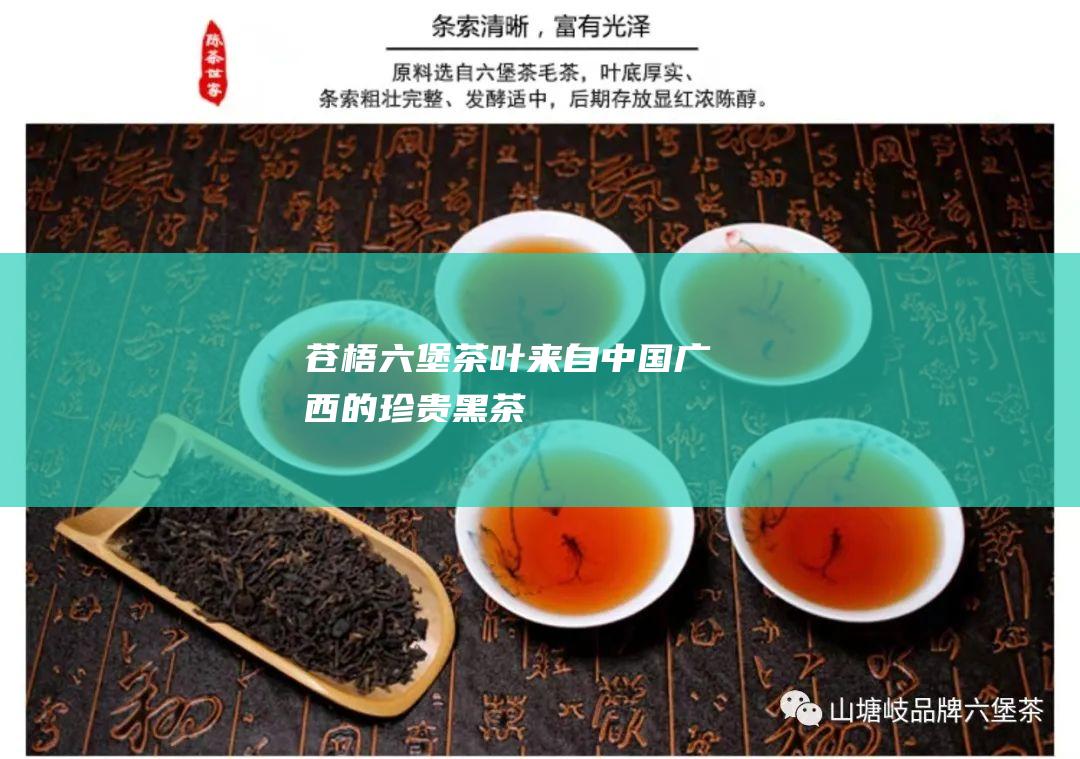 苍梧六堡茶叶：来自中国广西的珍贵黑茶