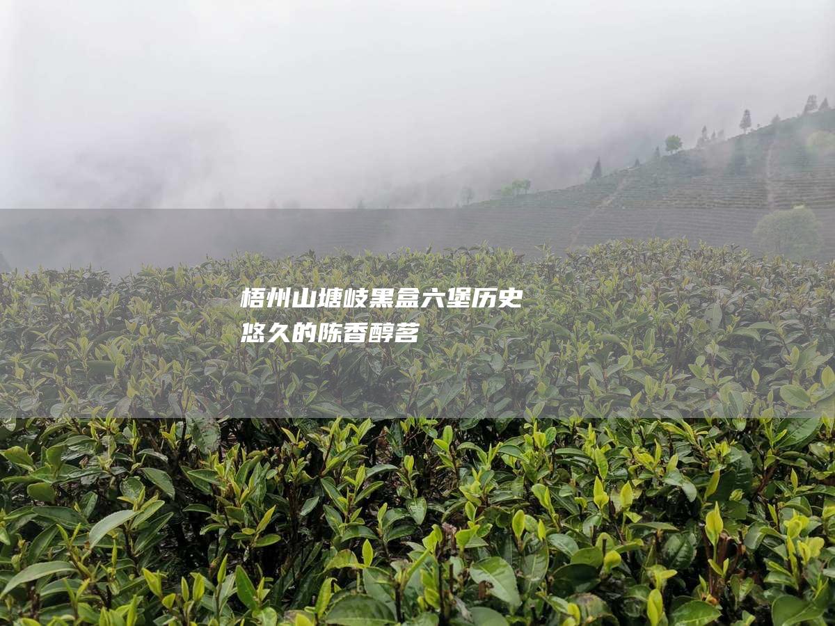 梧州山塘岐黑盒六堡：历史悠久的陈香醇茗