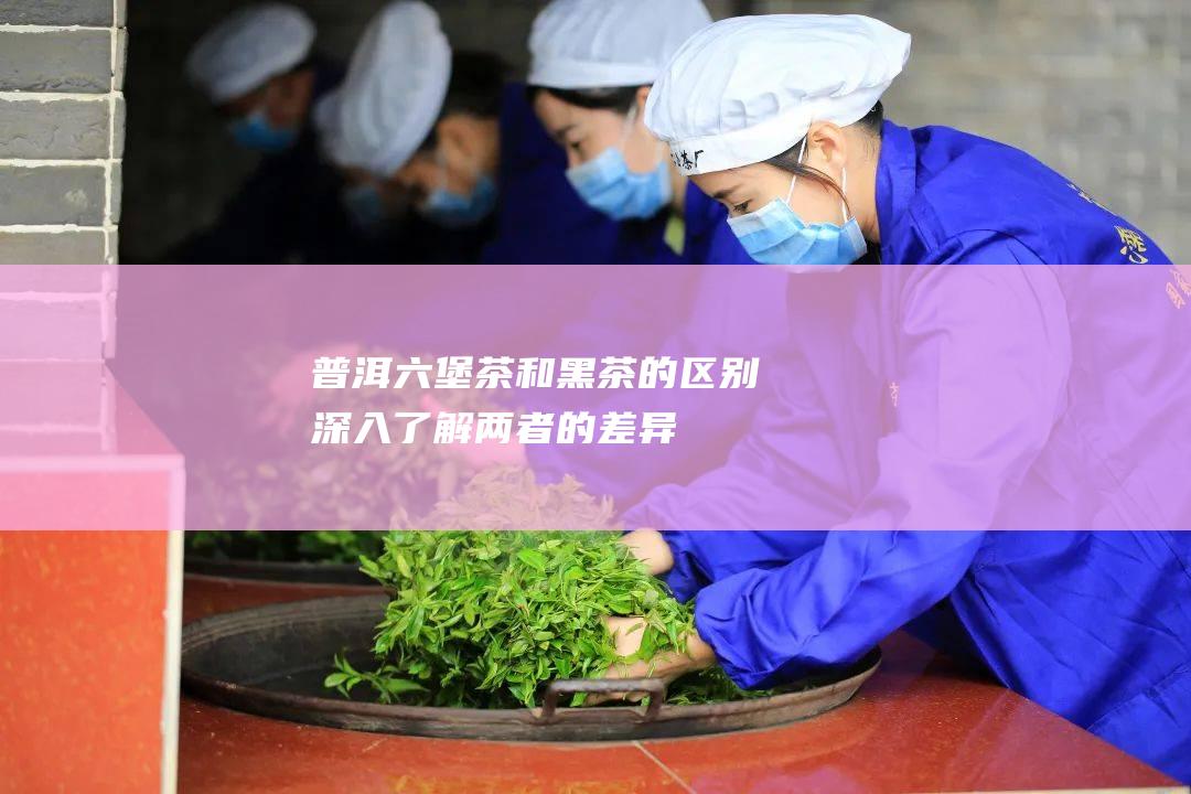 普洱六堡茶和黑茶的区别：深入了解两者的差异