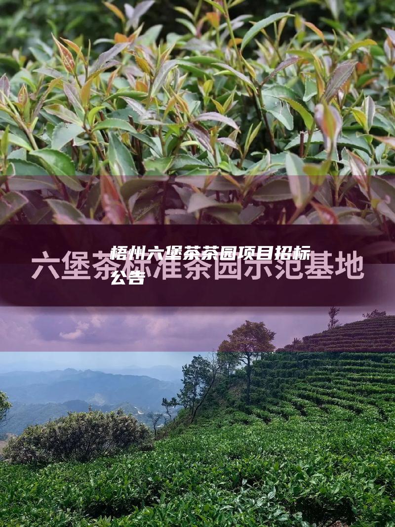 梧州六堡茶茶园项目招标公告