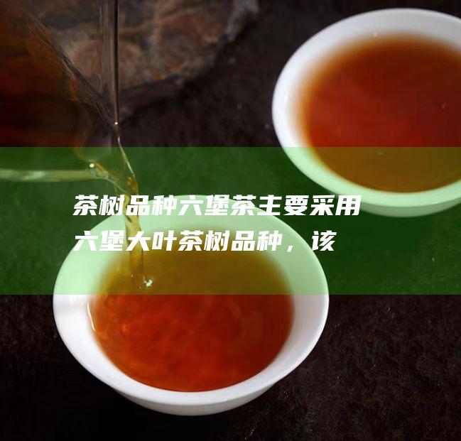 茶树品种：六堡茶主要采用六堡大叶茶树品种，该品种茶叶中富含氨基酸、茶多酚等香气物质。