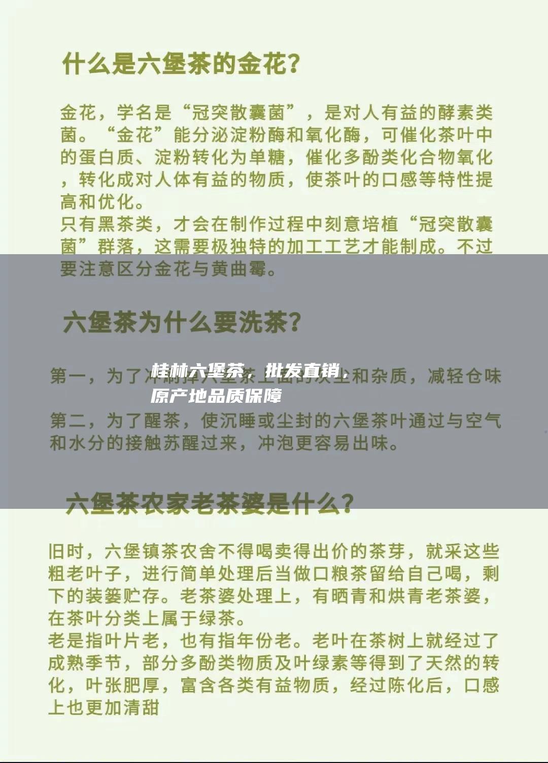 桂林六堡茶，批发直销，原产地品质保障