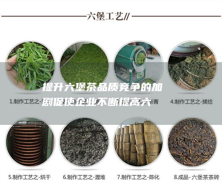 提升六堡茶品质：竞争的加剧促使企业不断提高六堡茶的品质，以赢得消费者的青睐。