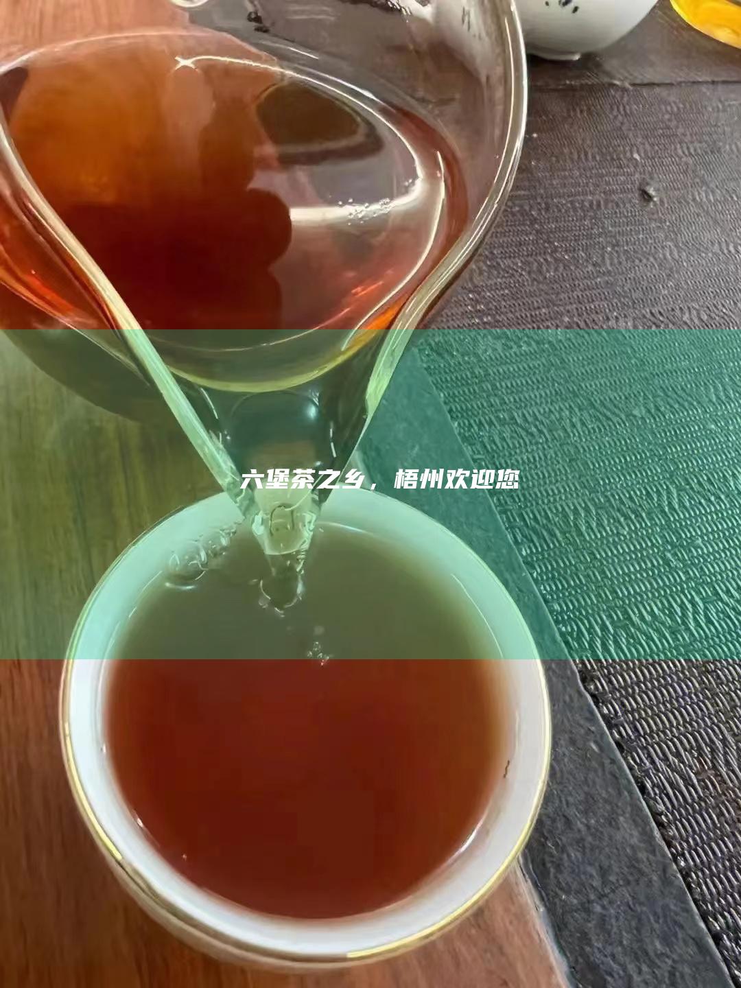 六堡茶之乡，梧州欢迎您！