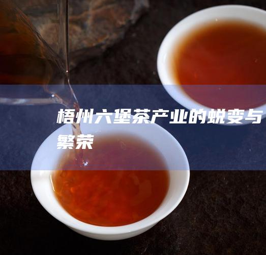 梧州六堡茶产业的蜕变与繁荣