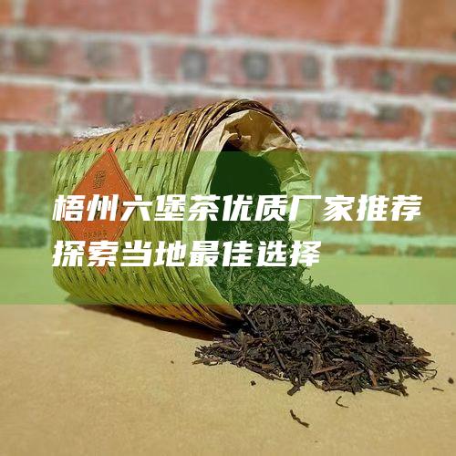 梧州六堡茶优质厂家推荐：探索当地最佳选择