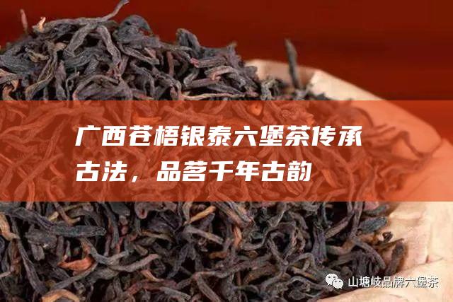 广西苍梧银泰六堡茶：传承古法，品茗千年古韵